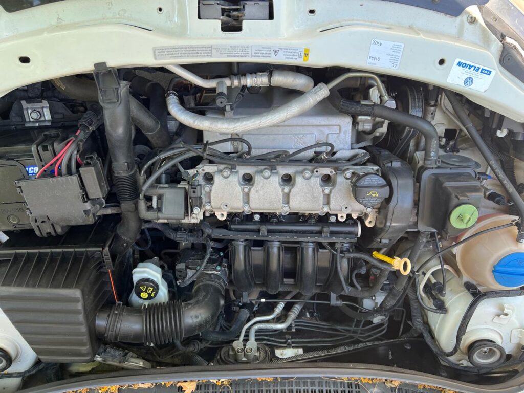 WhatsApp Image 2026-01-13 at 11.50.18 AM (10)