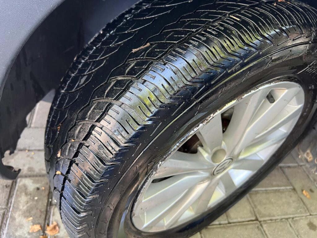 WhatsApp Image 2026-01-13 at 11.50.18 AM (9)