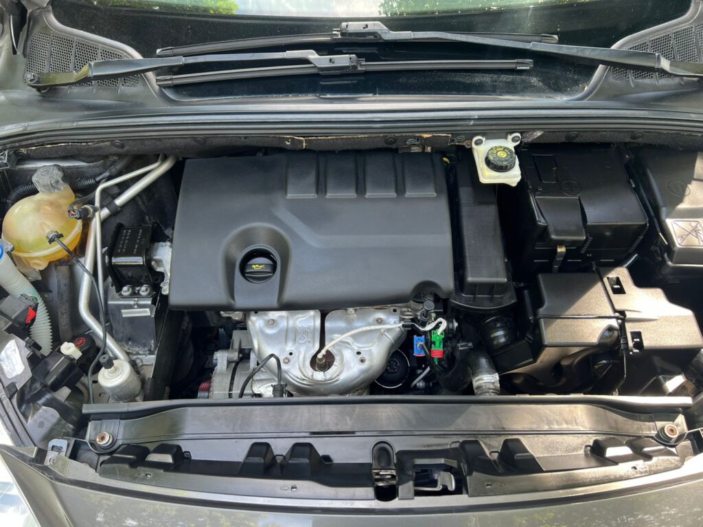 WhatsApp Image 2026-02-03 at 10.14.50 AM (2)