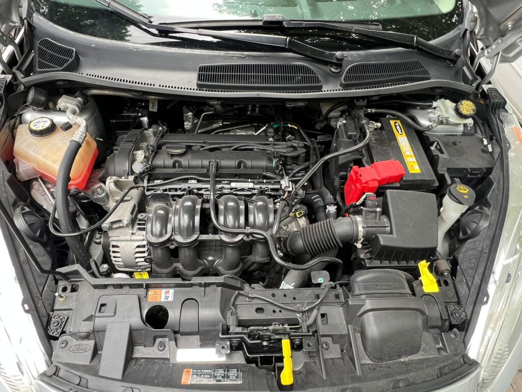 WhatsApp Image 2026-02-06 at 11.34.07 AM (1)