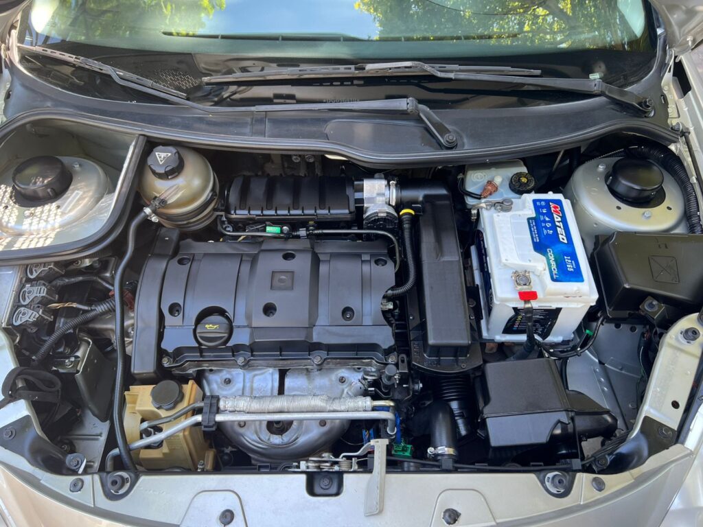 WhatsApp Image 2026-02-19 at 9.44.04 AM (3)