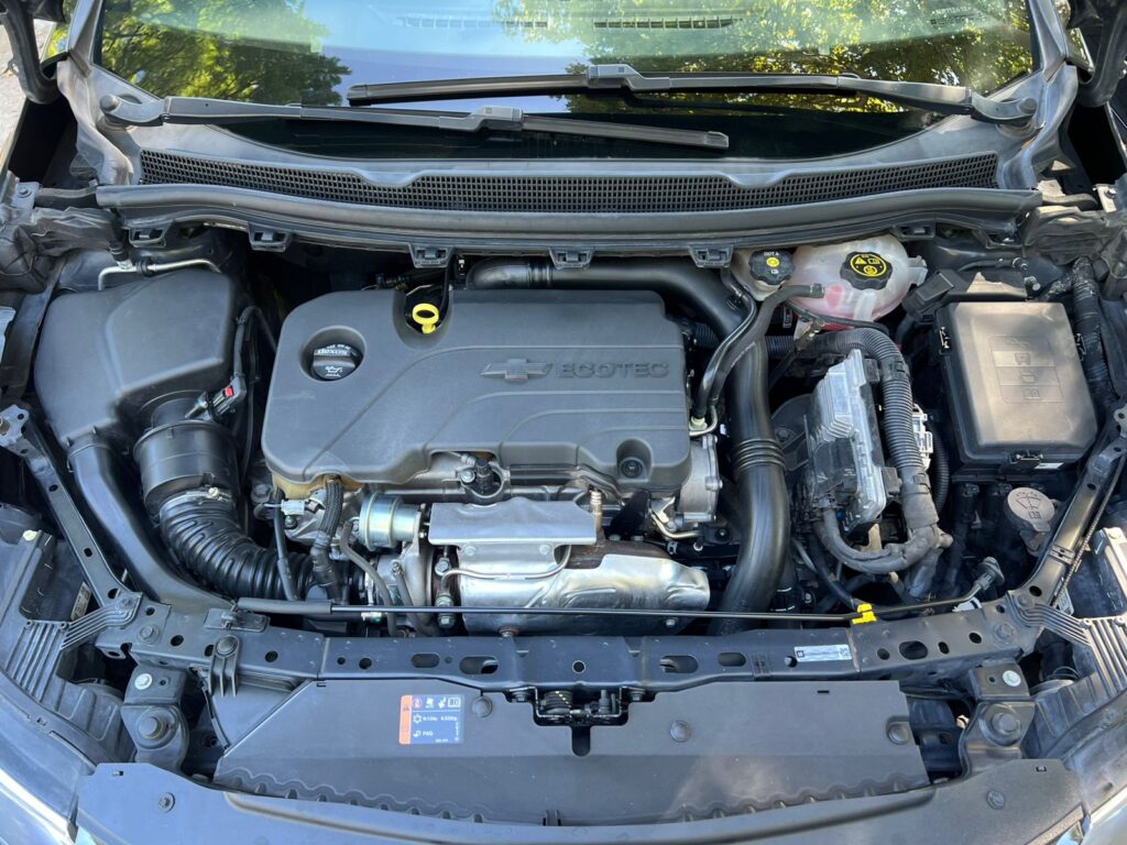 WhatsApp Image 2026-03-10 at 5.23.11 PM (3)