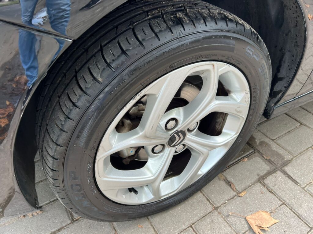 WhatsApp Image 2026-04-15 at 11.02.11 AM (3)